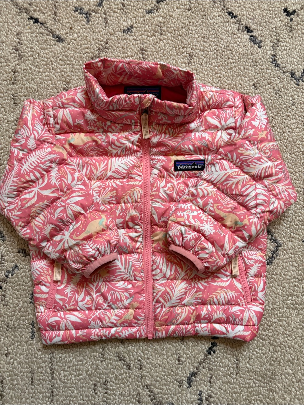 EUC Patagonia Kids jacket sz 2t